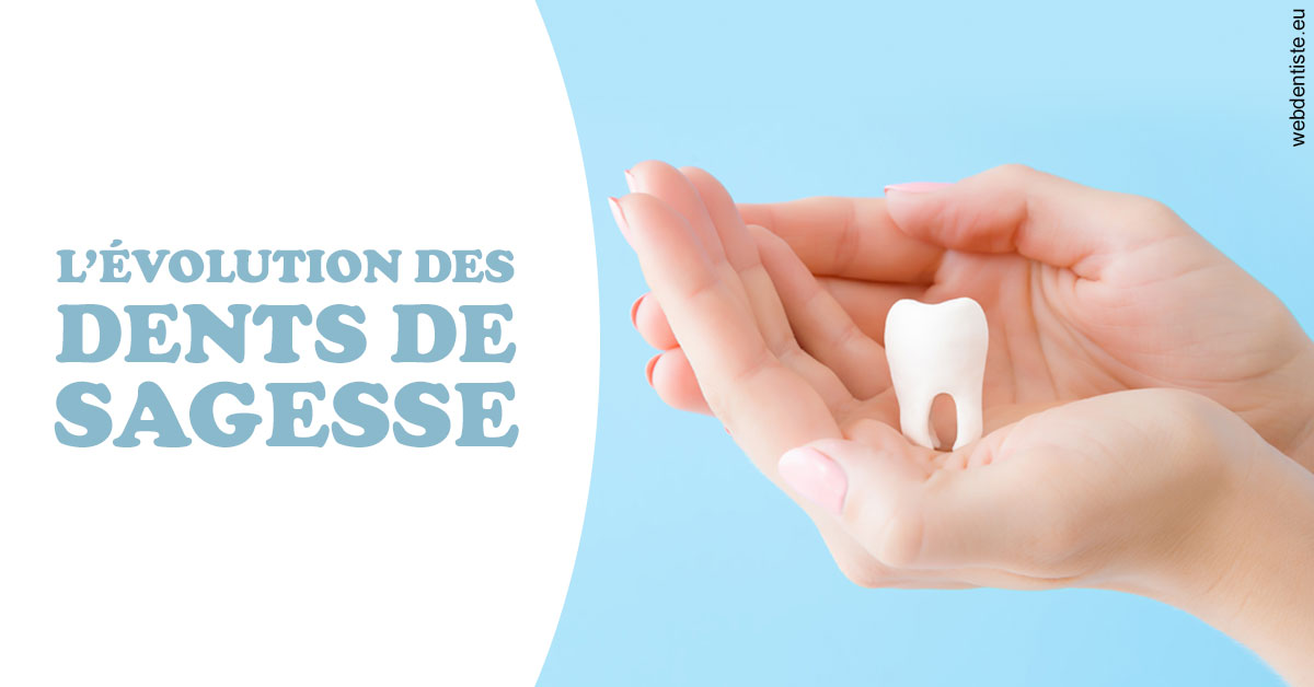 https://scp-chirurg-dentiste-drs-levy-nataf.chirurgiens-dentistes.fr/Evolution dents de sagesse 1