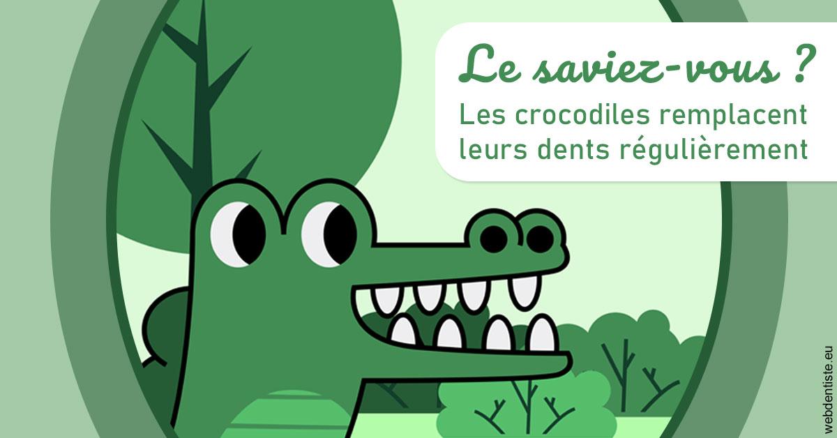 https://scp-chirurg-dentiste-drs-levy-nataf.chirurgiens-dentistes.fr/Crocodiles 2