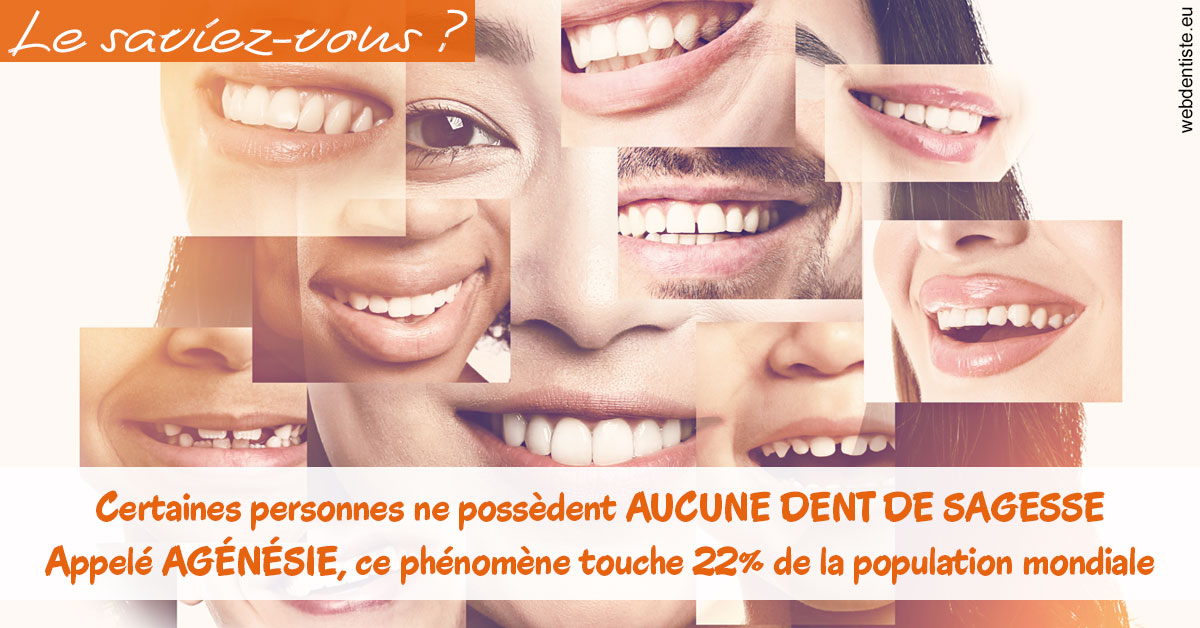 https://scp-chirurg-dentiste-drs-levy-nataf.chirurgiens-dentistes.fr/Agénésie 2