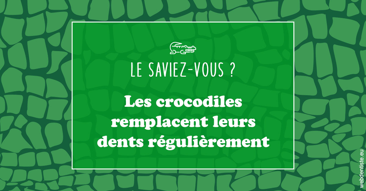 https://scp-chirurg-dentiste-drs-levy-nataf.chirurgiens-dentistes.fr/Crocodiles 1